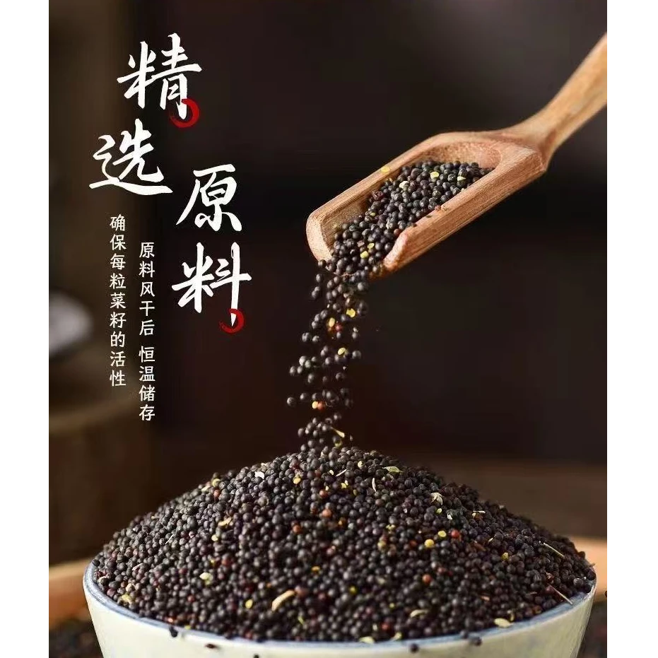 正宗湖南湘西菜籽油自榨非转基因浓香纯正5斤装