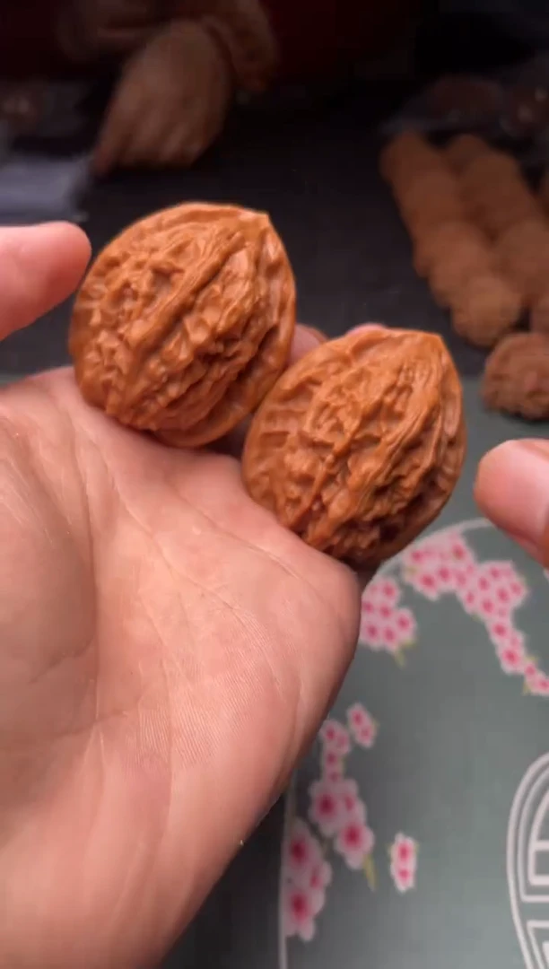 核桃a23   大红袍   41尺