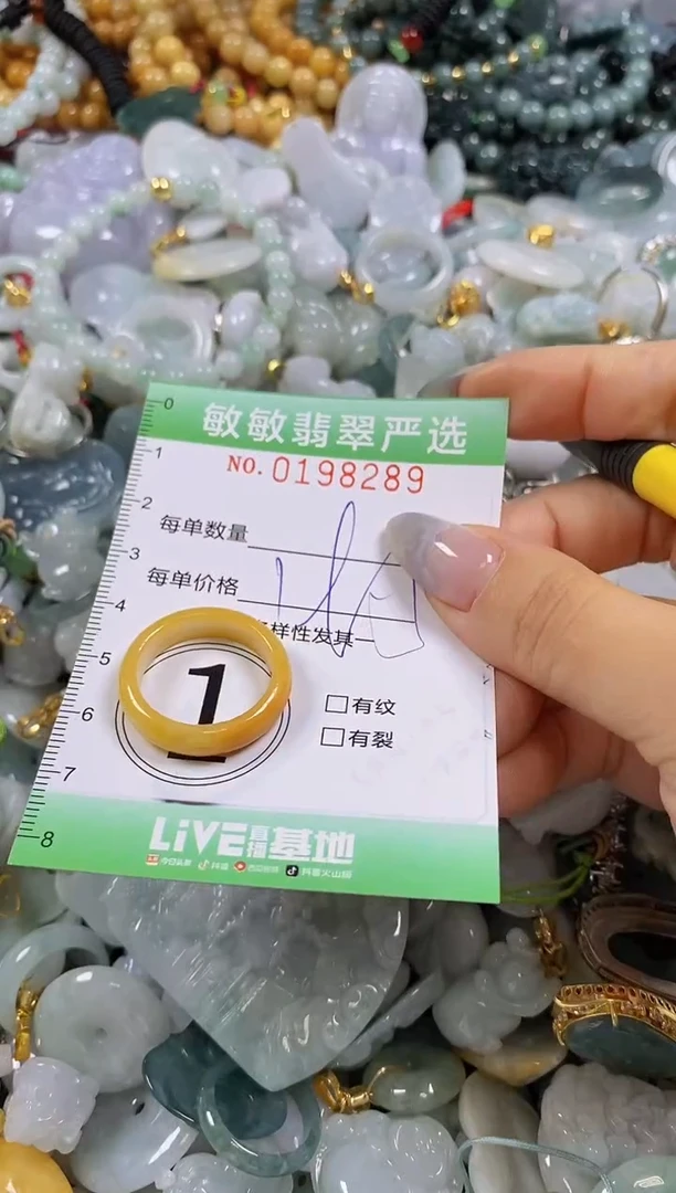 翡翠未镶嵌颈饰闪购0198289