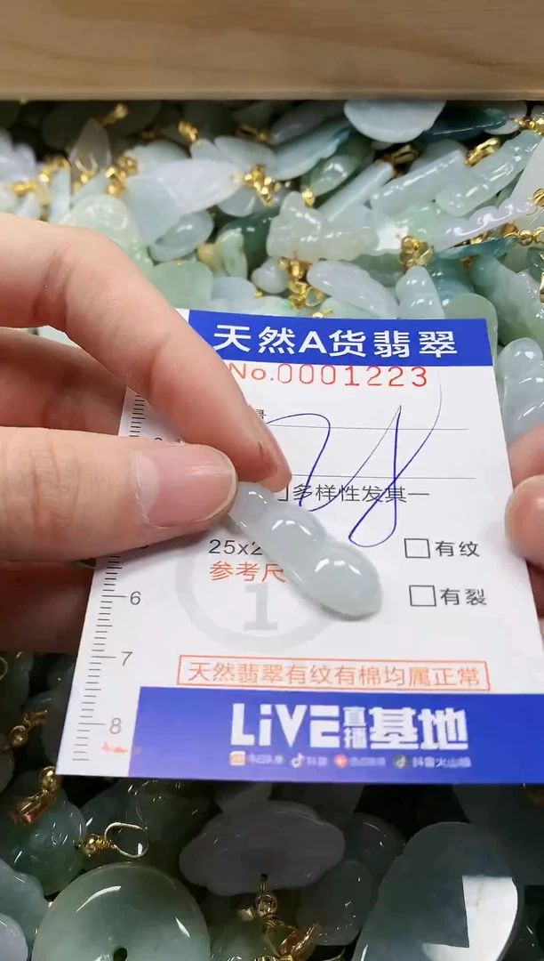 颈饰未镶嵌翡翠纯天然a货翡翠