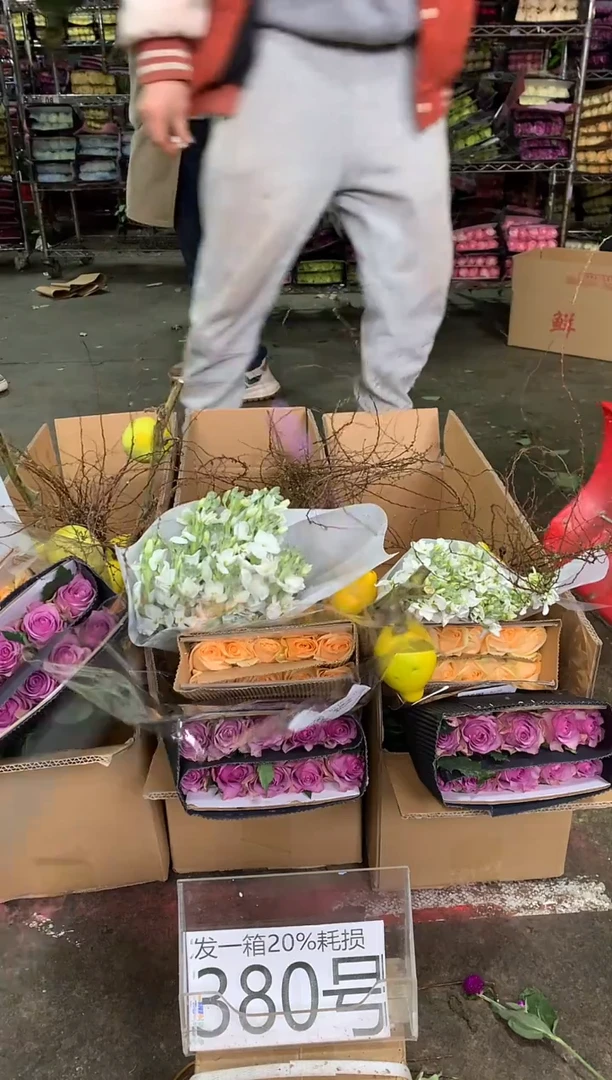 380号♥中通含20%耗损发一箱鲜花