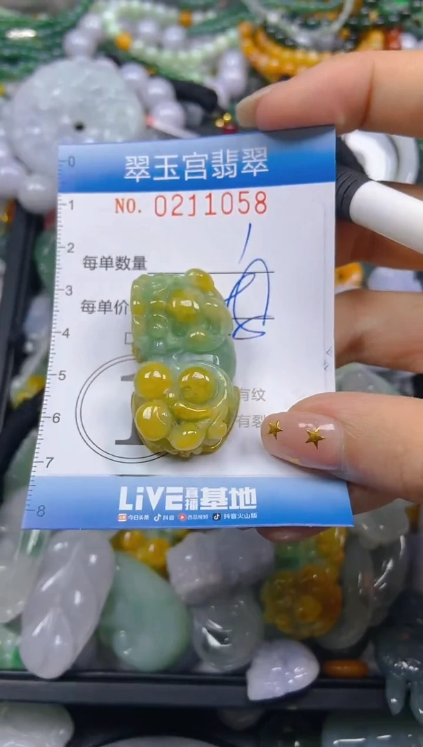 颈饰未镶嵌翡翠闪购C0211058