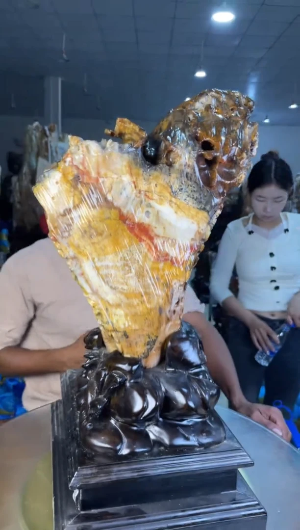 未镶嵌摆件硅化玉76