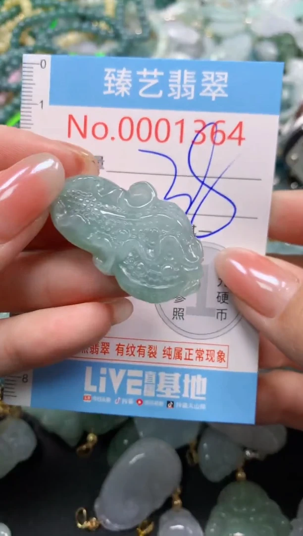 颈饰未镶嵌翡翠1364