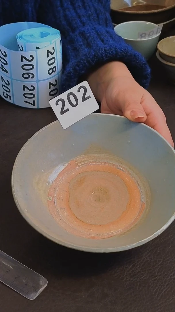 【闪购商品】1漂漂亮亮的瓷器编号202