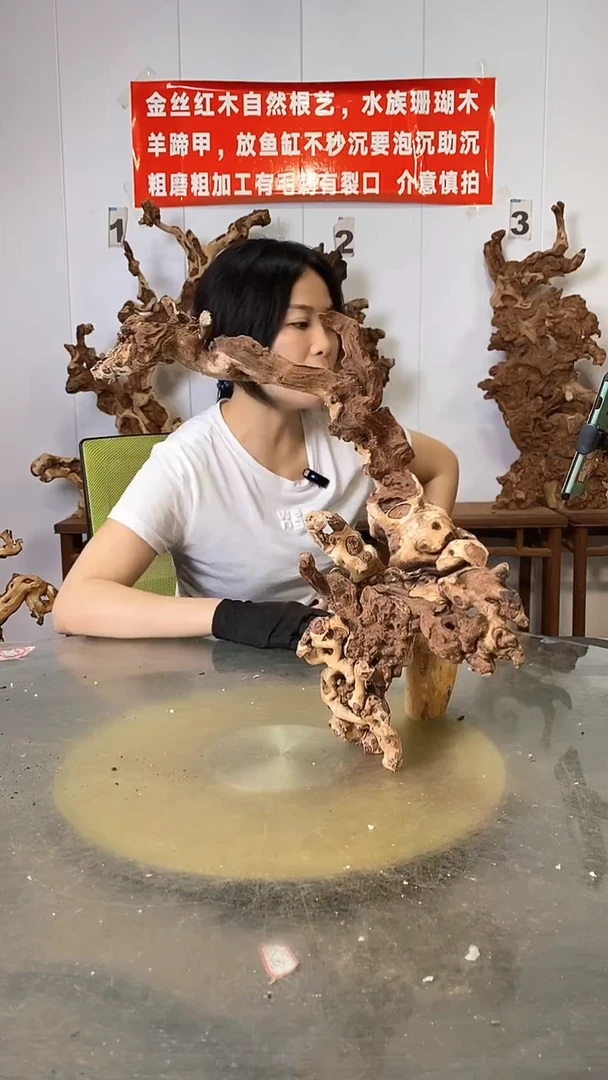 香榧木金丝红木  羊蹄甲