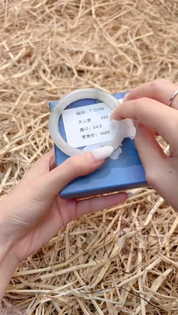 未镶嵌手镯石英质玉T0259