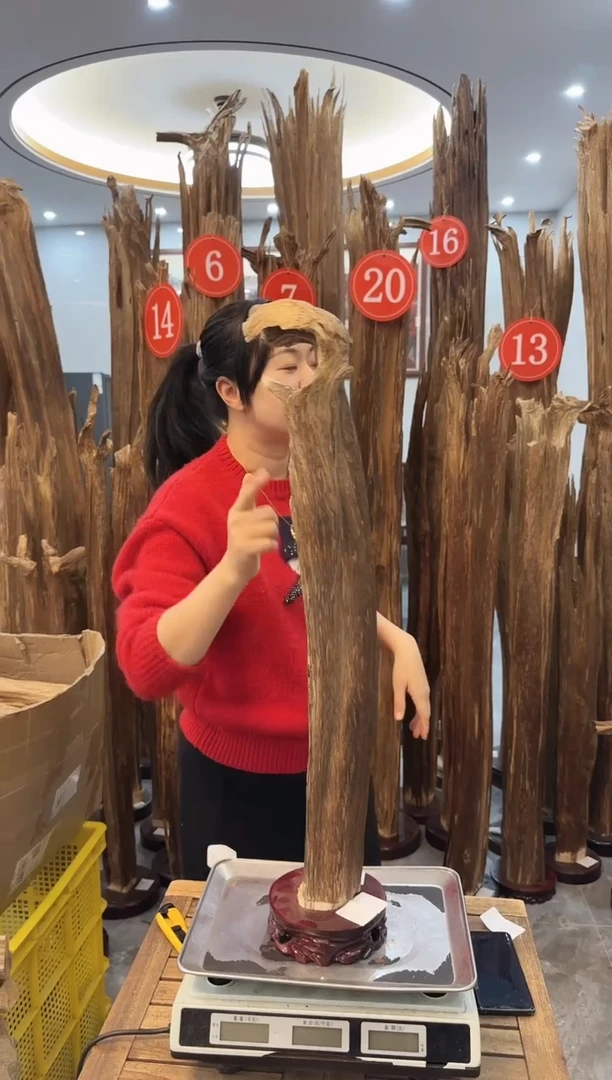 【闪购商品】沉香摆件沉香摆件11