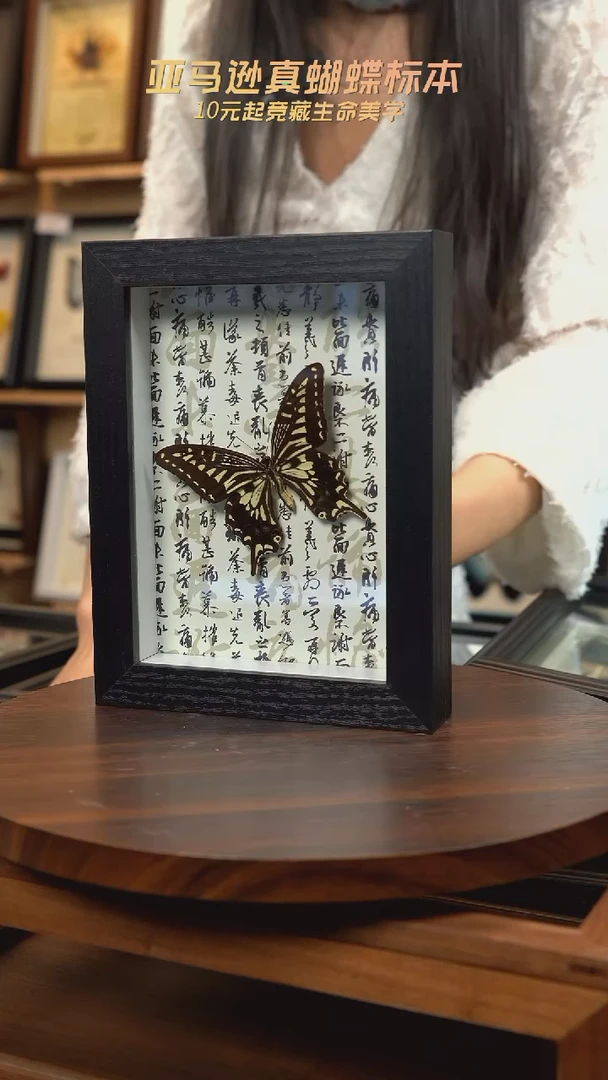 柑橘凤蝶7寸书法版