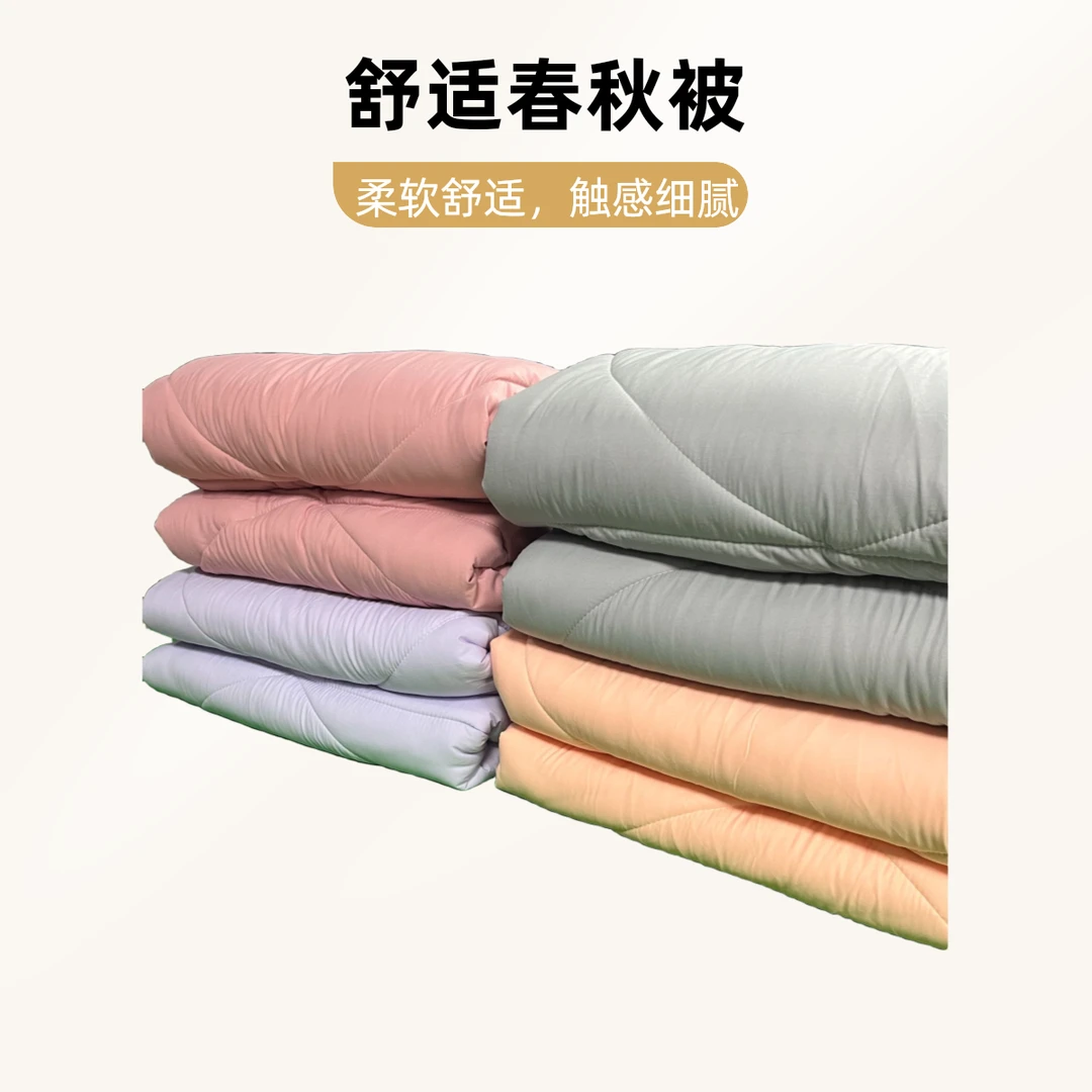 春秋柔软舒适亲肤保暖丝绵被双人被