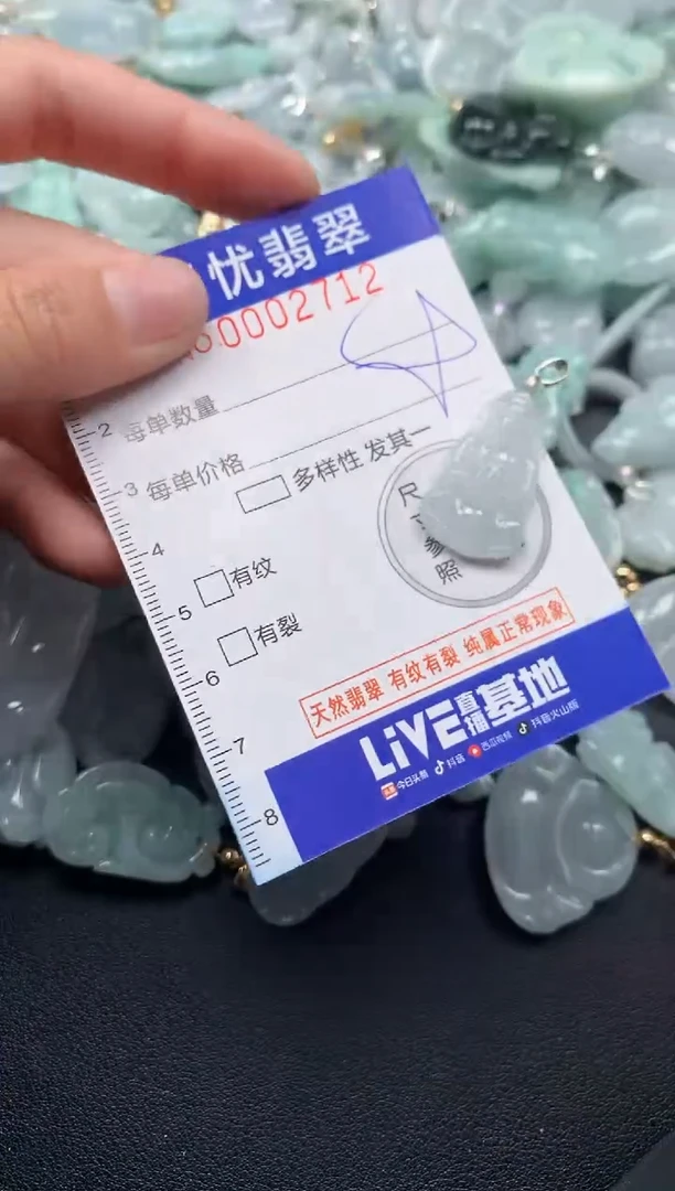 颈饰未镶嵌翡翠2712