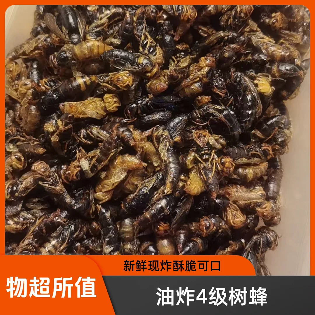 新鲜纯菜仔油炸4级树蜂蜂蛹嘎嘣脆下酒好菜顺丰包邮酥脆营养