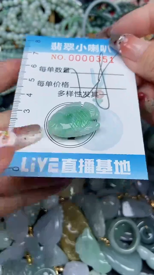 【闪购商品】翡翠颈饰未镶嵌闪购0000351多样性发其一