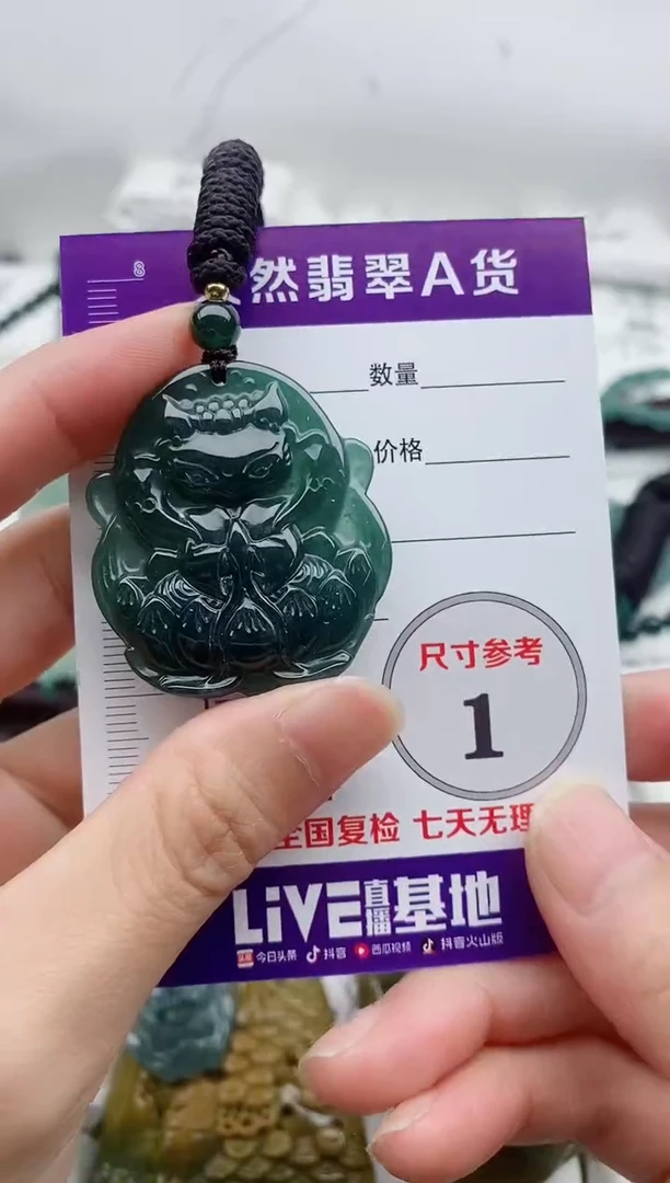 颈饰未镶嵌翡翠8