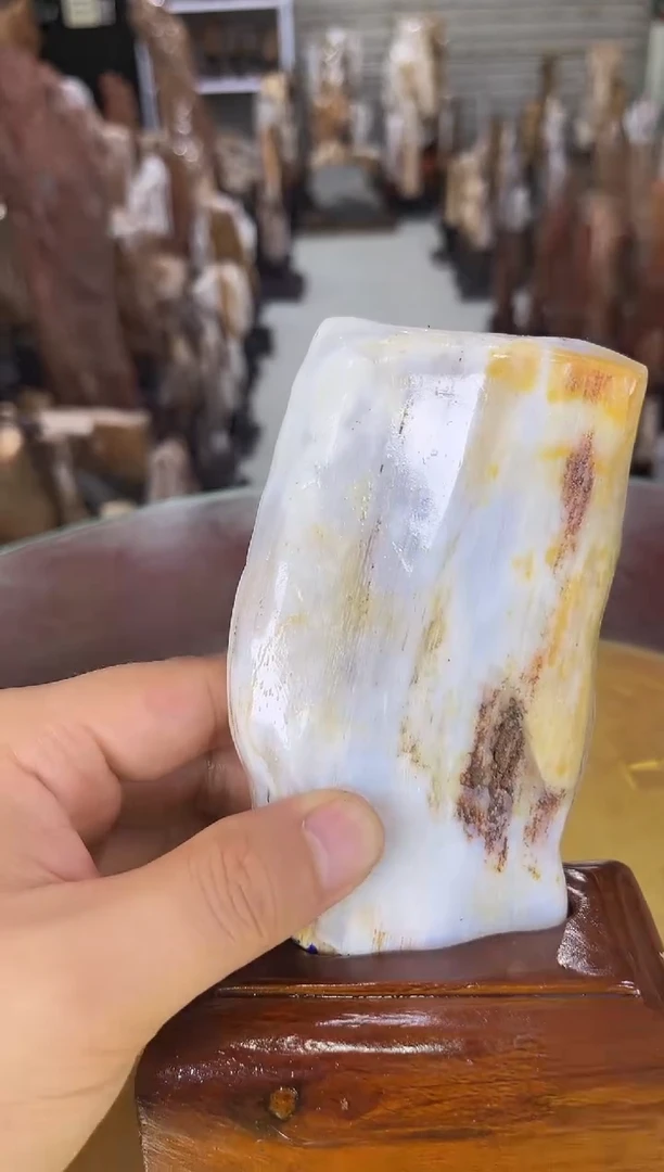 硅化玉珠宝奇石未镶嵌缅甸天然树化玉
