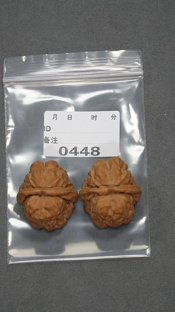 【闪购商品】文玩核桃把件39蛤蟆头