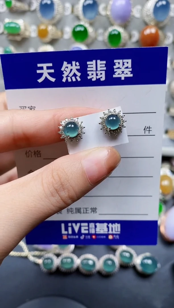 翡翠银S925镶嵌耳饰0141