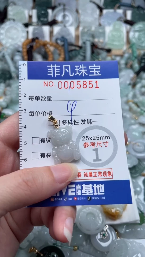翡翠未镶嵌颈饰00..5851