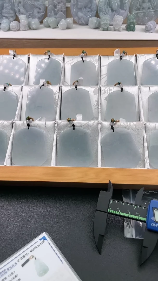 翡翠未镶嵌颈饰..../7/14/ 187多样性发其一