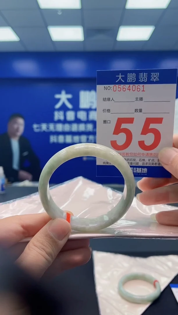 未镶嵌手镯翡翠AAAAAAAAA