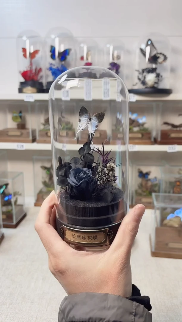 真实的大自然标本
