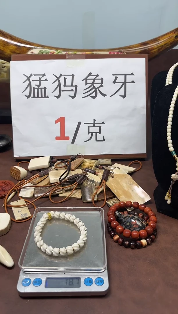 猛犸秋纯肉9*8凤尾无相单圈