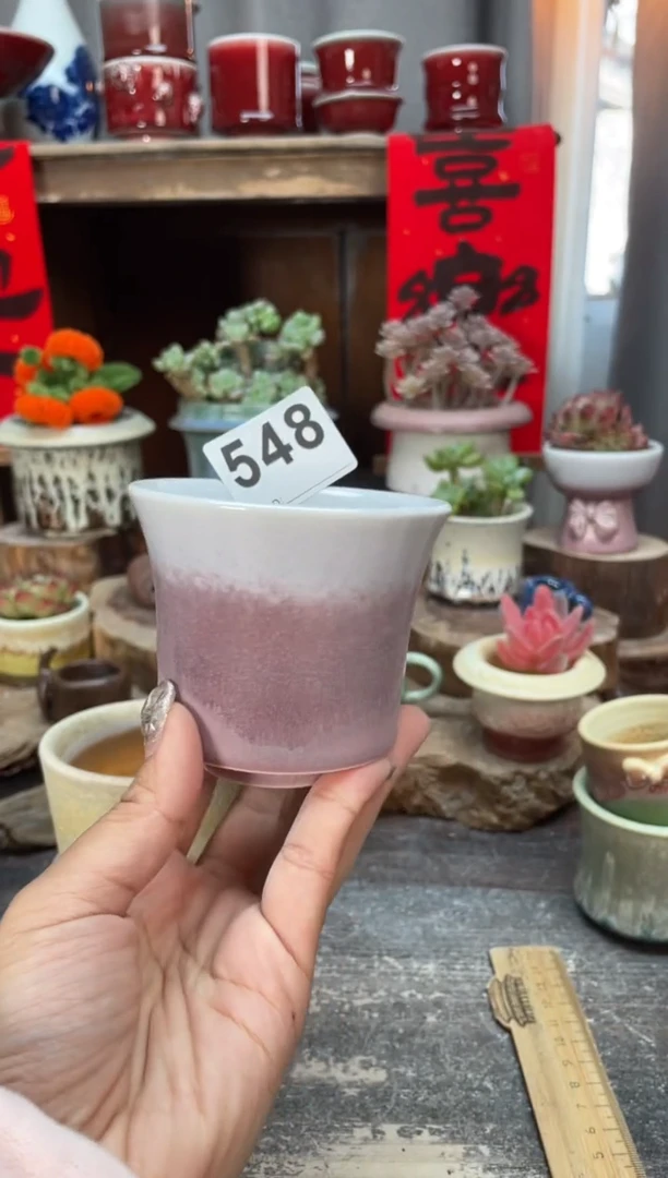 【闪购商品】摆件548知木小芳花盆