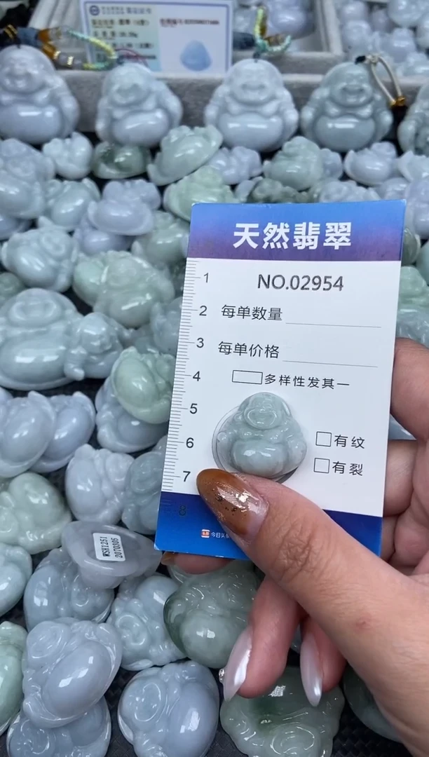 颈饰未镶嵌翡翠纯天然A货翡翠2954