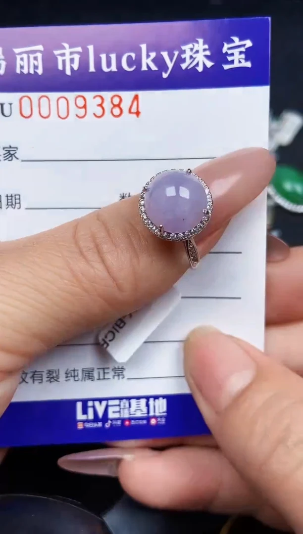 翡翠银S925镶嵌颈饰9384