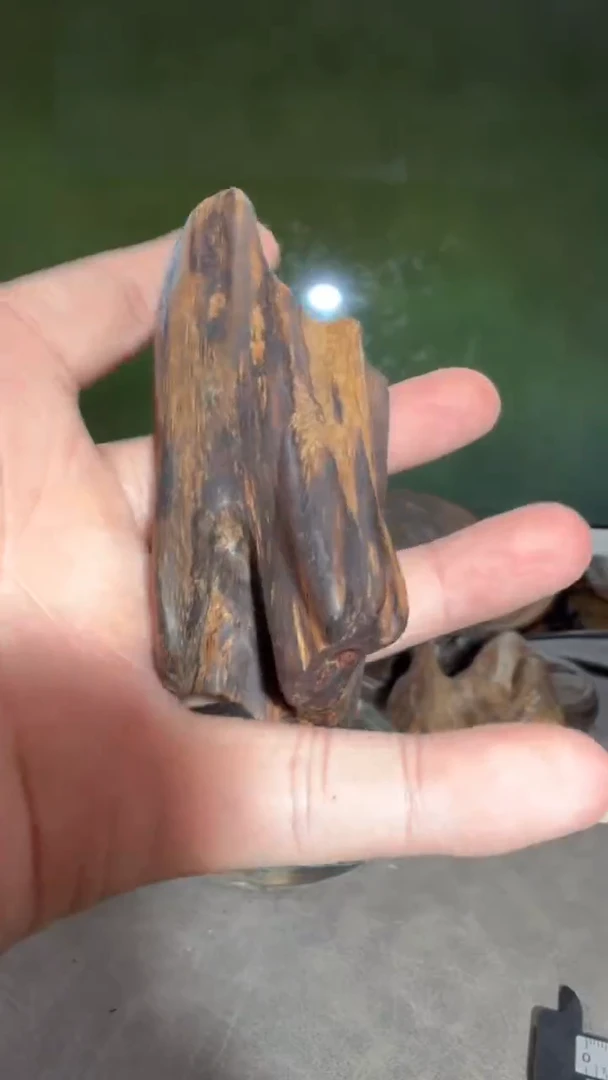 沉香吊坠越南多样性发一