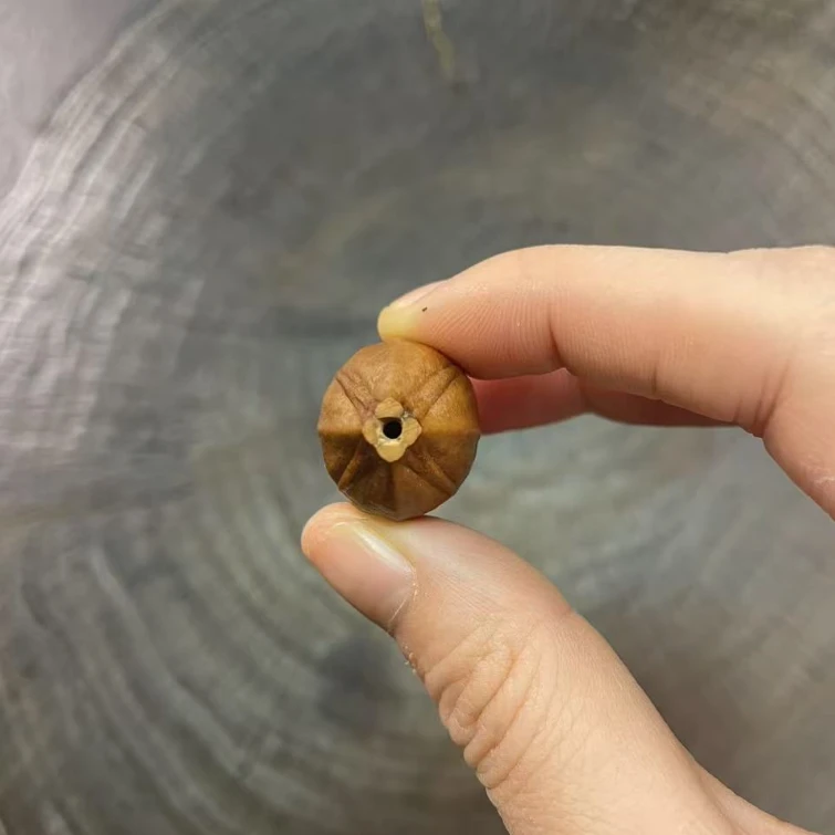 铁核四花