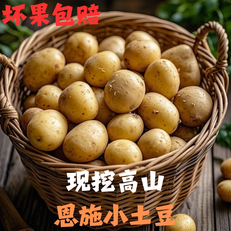富硒恩施黄心小土豆新鲜现挖现发迷你马铃薯洋芋土豆粉糯农家香甜