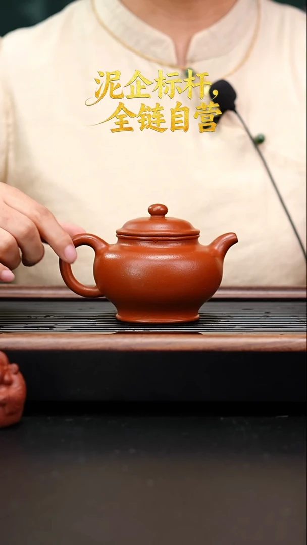 茶壶紫砂全手工铁芯朱泥掇只