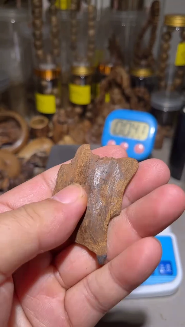 沉香沉香碎屑  加里曼丹土沉