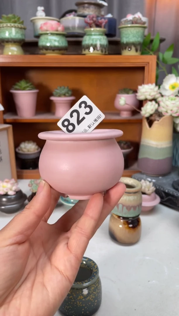瓷片薯*823小芳直播编号