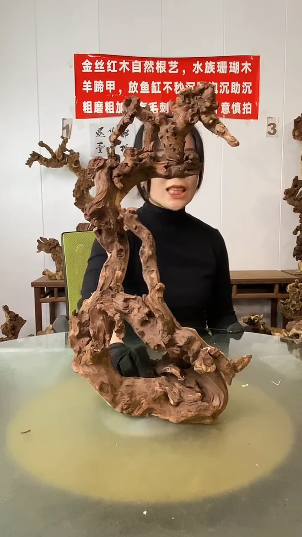 香榧木星*辰金丝红木 羊蹄甲