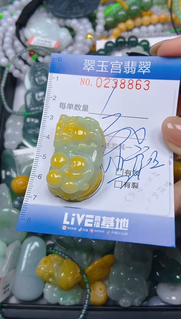 颈饰未镶嵌翡翠闪购C0238863