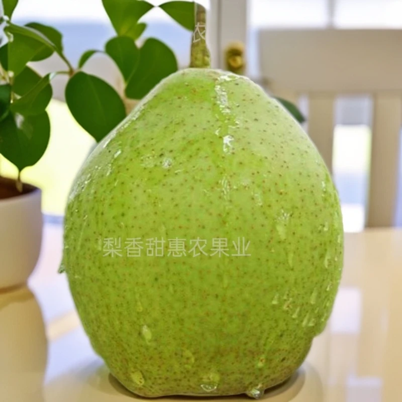【海南青海顺丰包邮】魏县青皮大鸭梨皮薄肉厚脆甜多汁现摘现发
