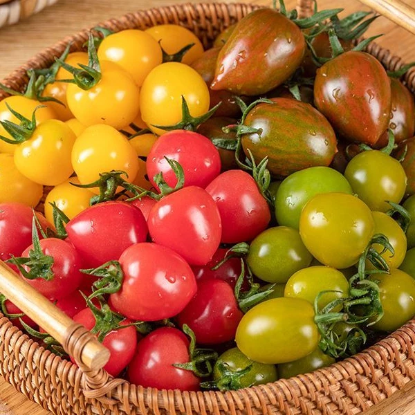 （新品福利）三色小糖豆千禧（500克）