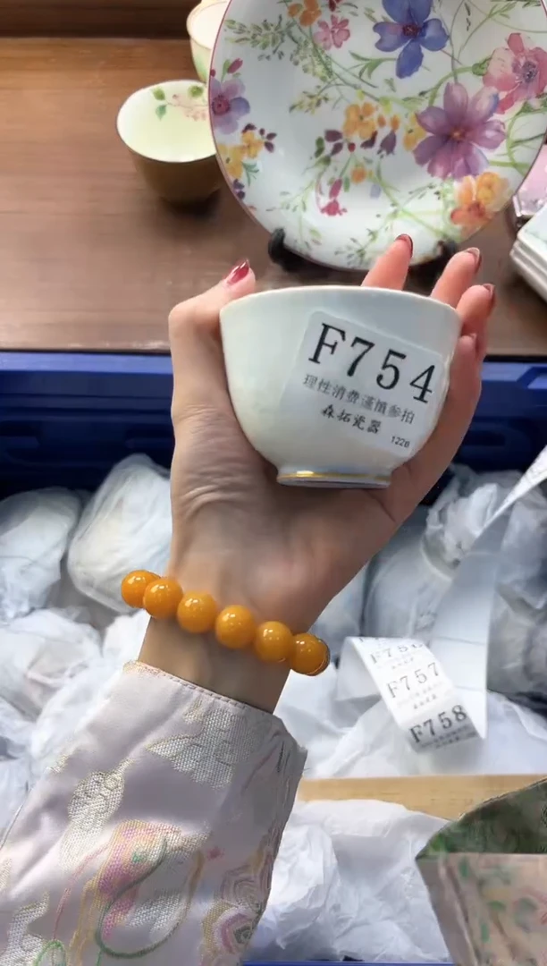 【闪购商品】瓷片----------F754