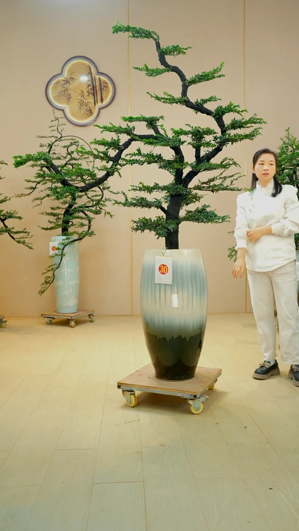 以实际为准李****7【广东小叶紫檀】落地高端盆景绿植四季常青常绿