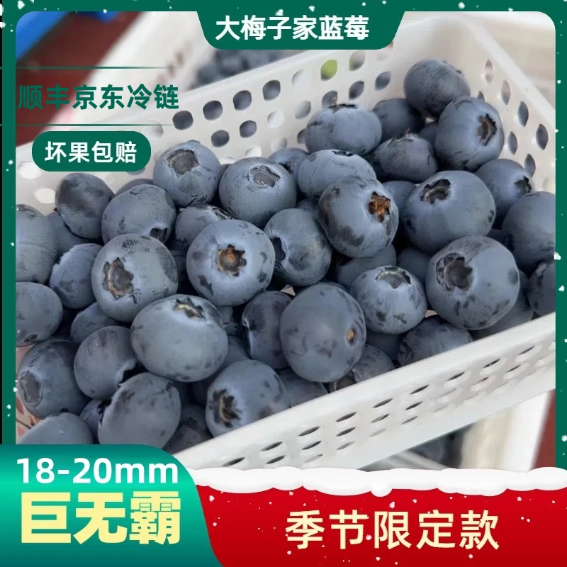 [巨无霸]18-20mm新鲜采摘 应季花青素水果 高山蓝莓带盒100g/盒
