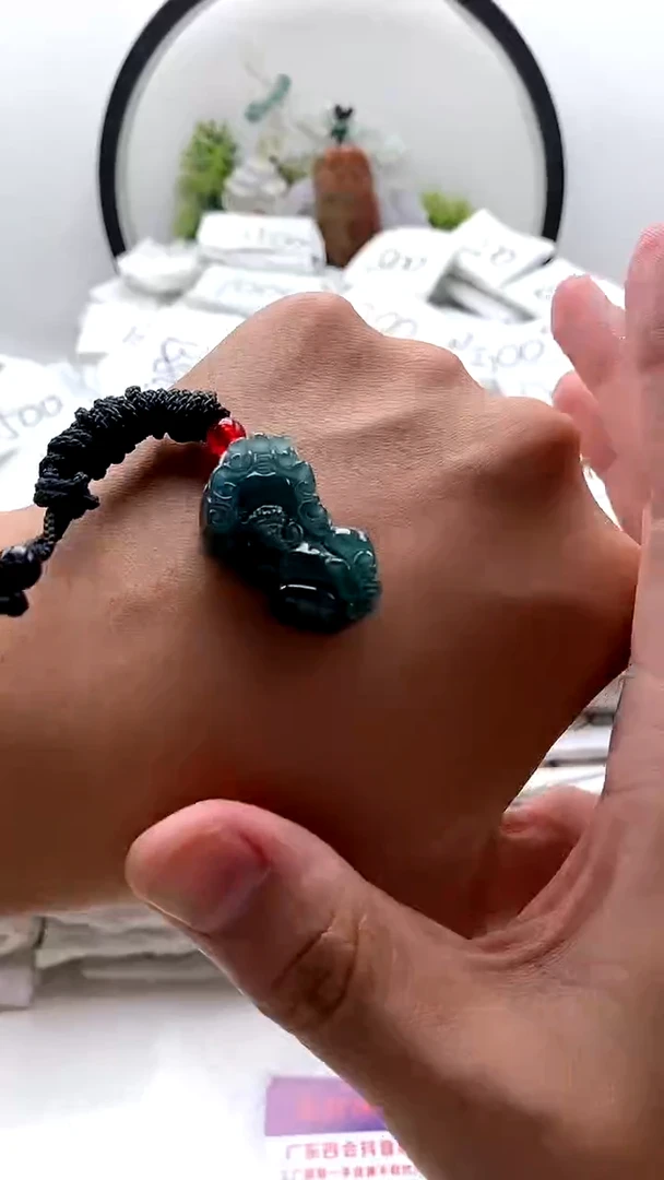 翡翠未镶嵌颈饰貔貅y