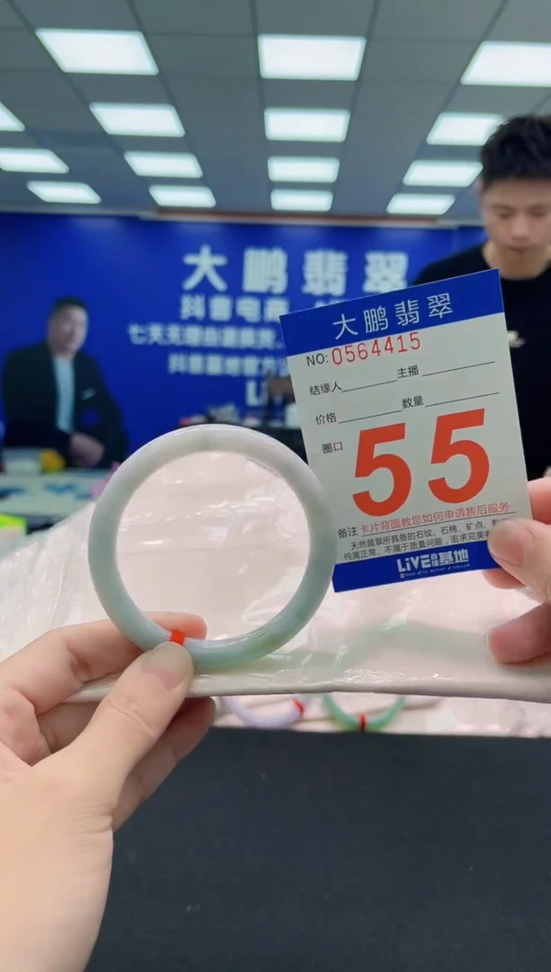 未镶嵌手镯翡翠AAAAAAAAA