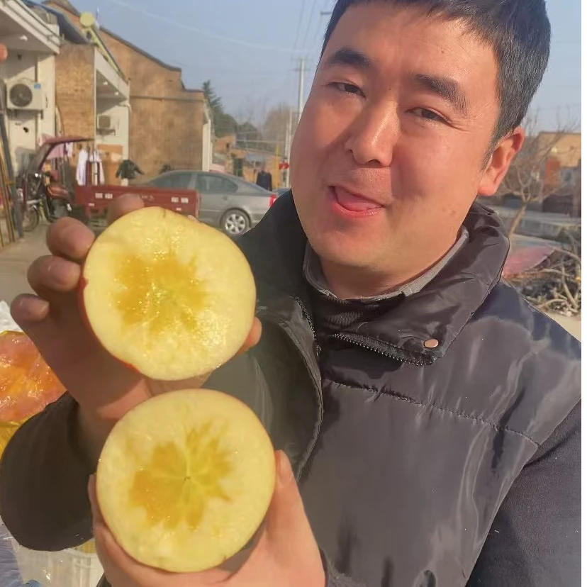 冰糖心丑苹果霜降后采摘不打蜡带皮吃脆甜多汁