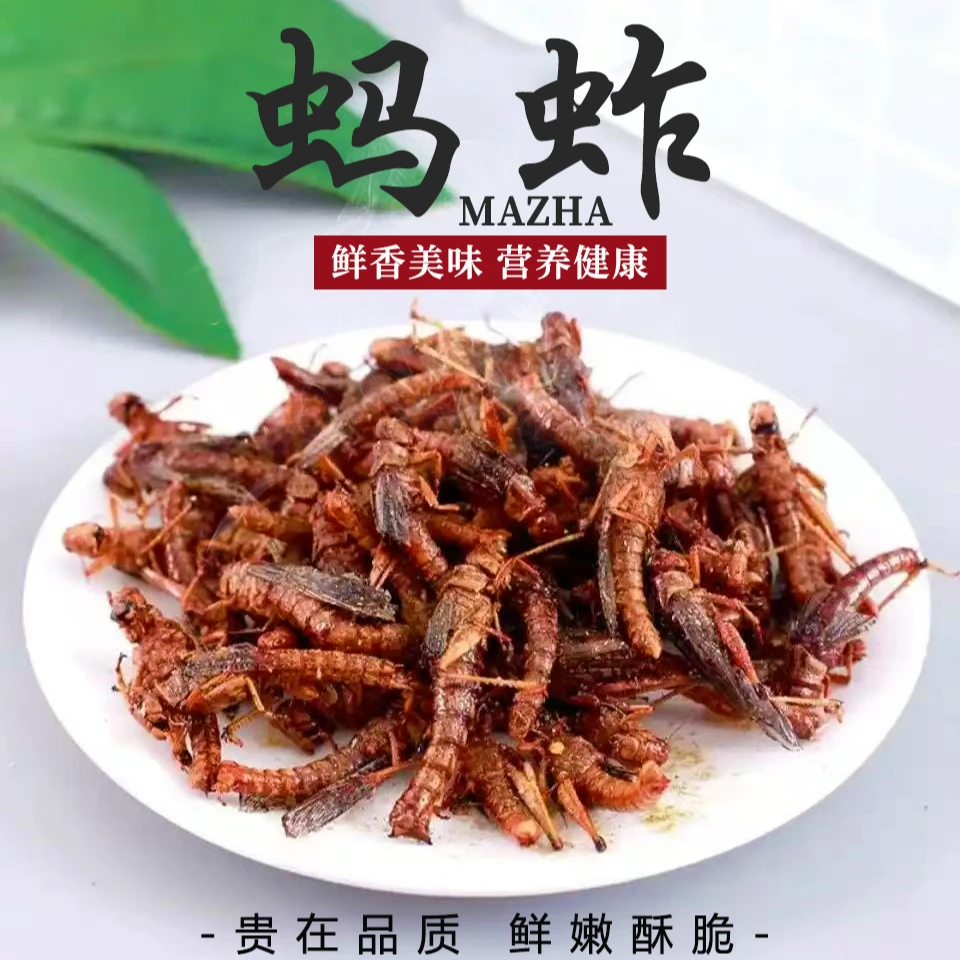 山东特产蚱蜢速冻油炸好下酒菜到手1斤