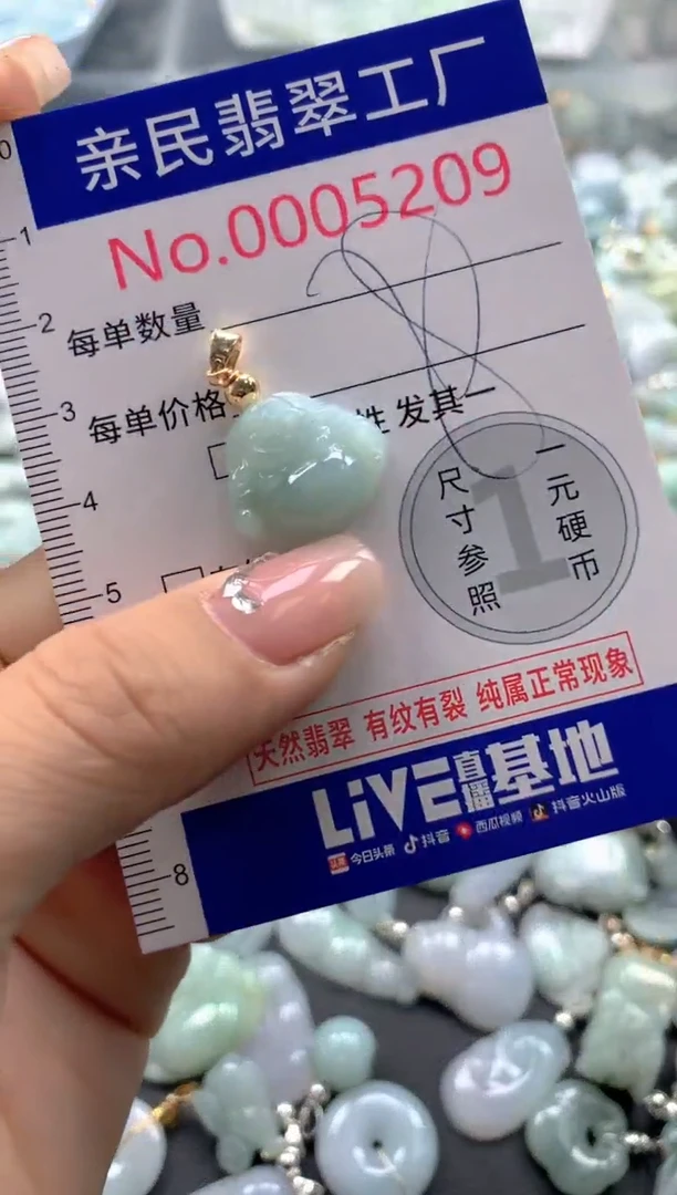 颈饰未镶嵌翡翠5209