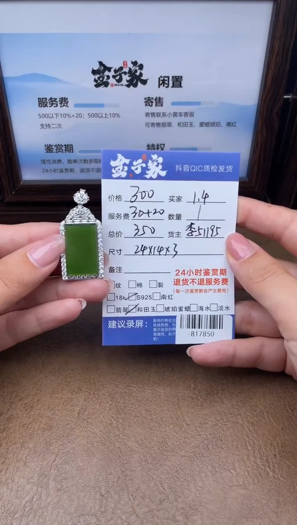 颈饰银S925镶嵌和田玉多人-817850