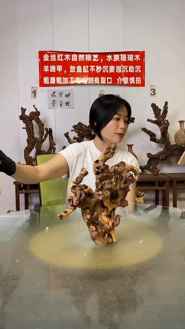 香榧木舍**?金丝红木   羊蹄甲