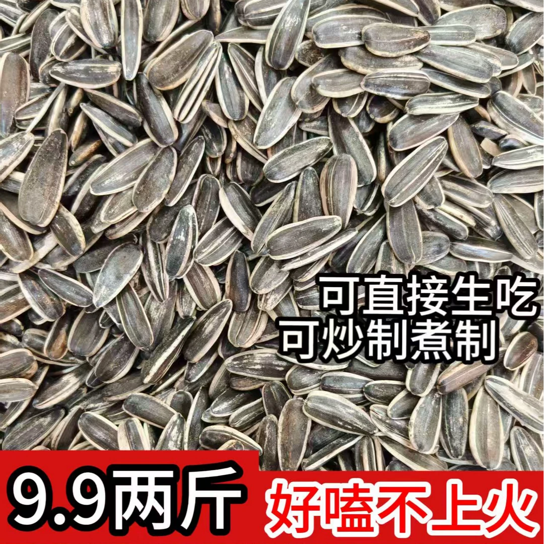 内蒙原味生瓜子大颗粒葵花籽可直接食用可炒制煮制